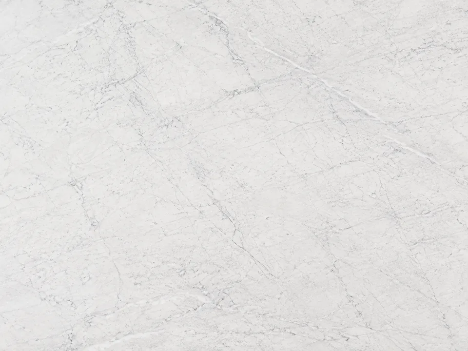 Carrara White marble with fine gray veining.